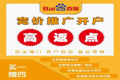 SEM专员案例：广告投放策略调整